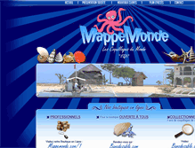 Tablet Screenshot of mappe-monde.com